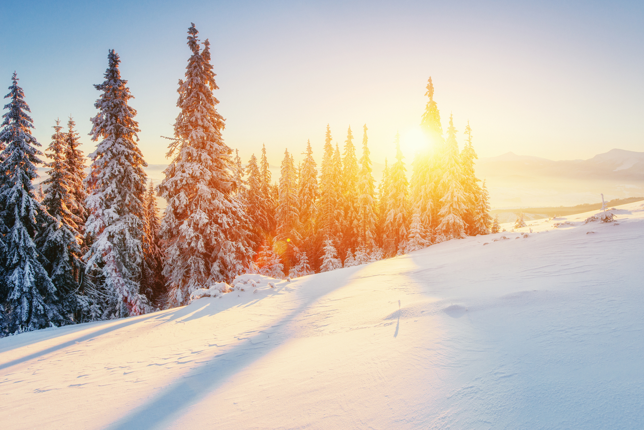 iStock 491918802